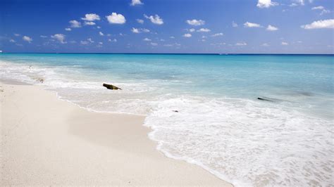 delphine beach cancun|playa delfines beach cancun.